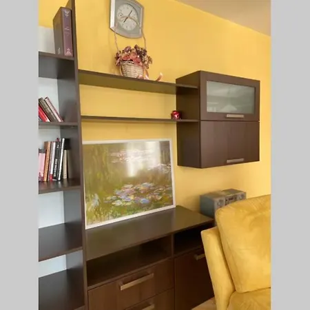 Lovely Apartment