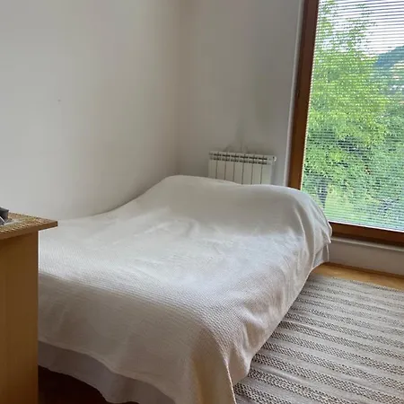 Lovely Apartment